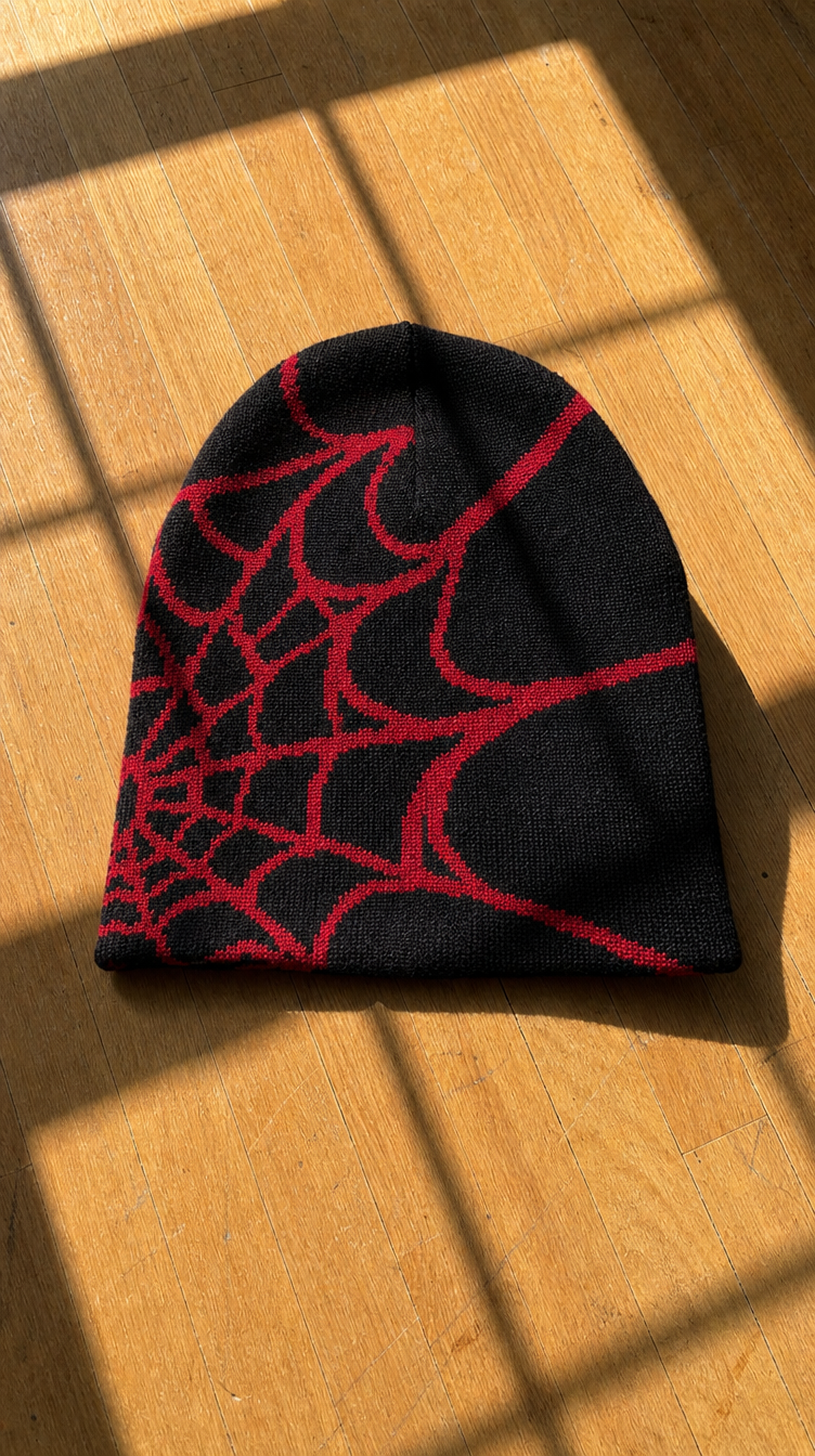 Spider-Web Beanie