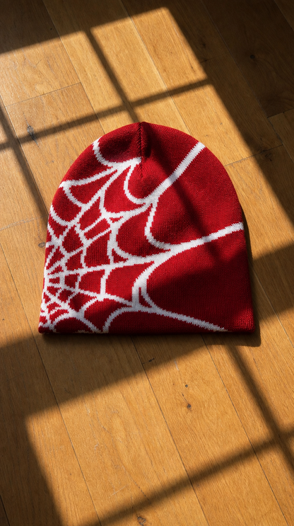Spider-Web Beanie